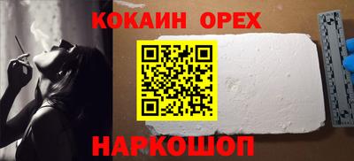 крисы Камышлов