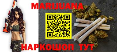 крисы Камышлов