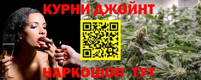 крисы Камышлов