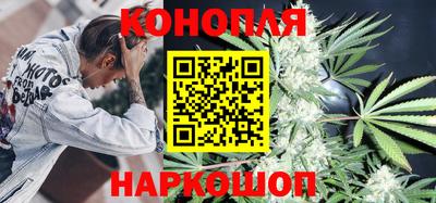 крисы Камышлов
