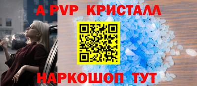крисы Камышлов