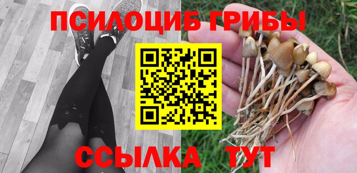 даркнет сайт  Галлюциногенные грибы прущие грибы  Вход с VPN  Ирбит 